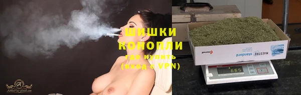 сатива Белокуриха