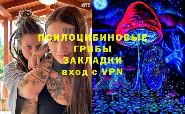 сатива Белокуриха