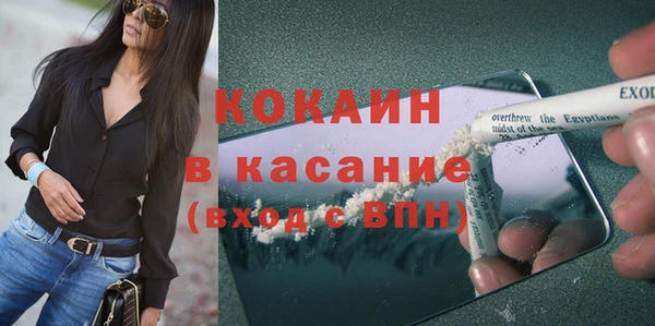 сатива Белокуриха