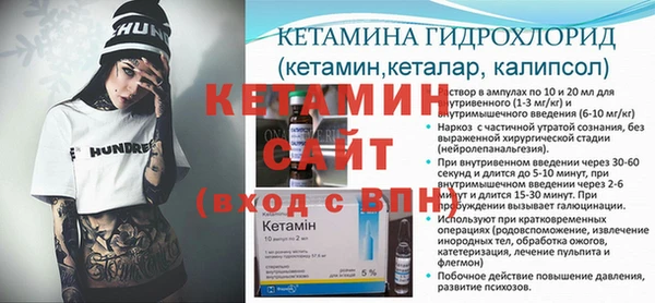 сатива Белокуриха