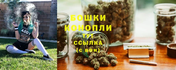сатива Белокуриха