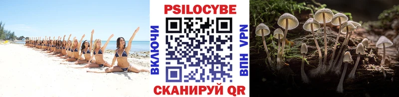 Псилоцибиновые грибы мицелий  Купить где  Верхняя Пышма 