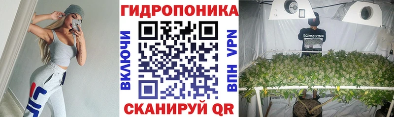 Бошки марихуана гибрид Верхняя Пышма